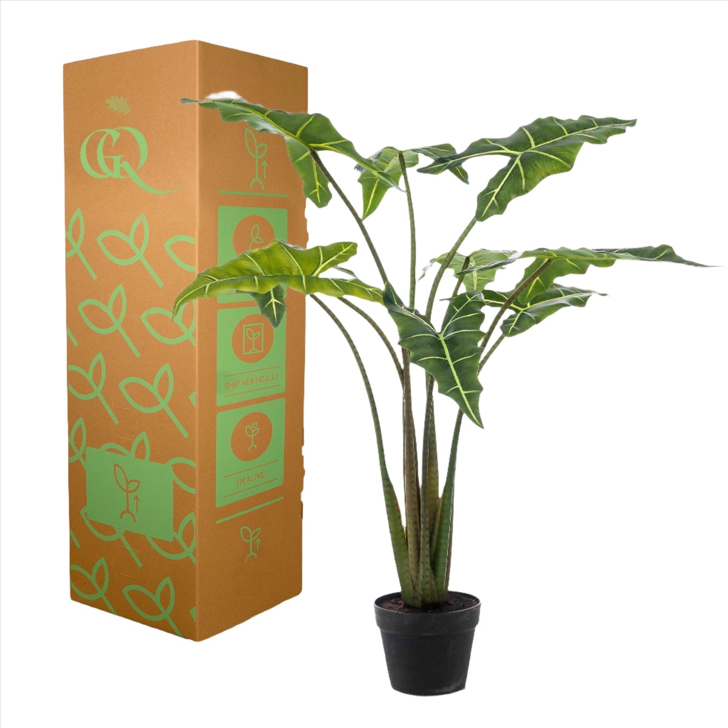 Artificial Plant - Alocasia Frydek - Elephants Ear Plant - 100 cm